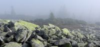 05 nebel umwabert den lusengipfel